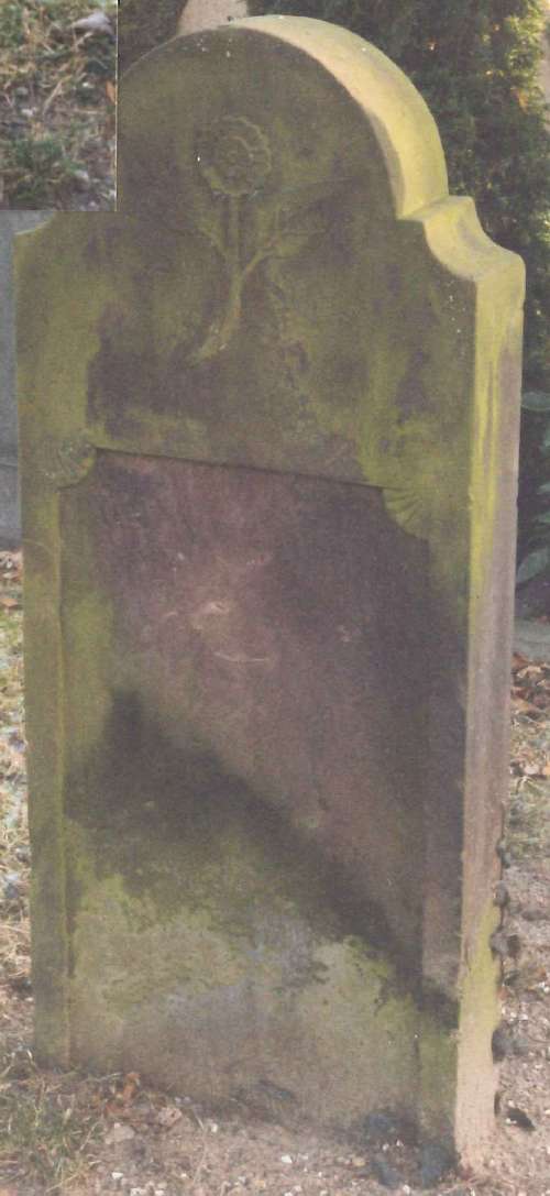 verden_dom0113a.jpg