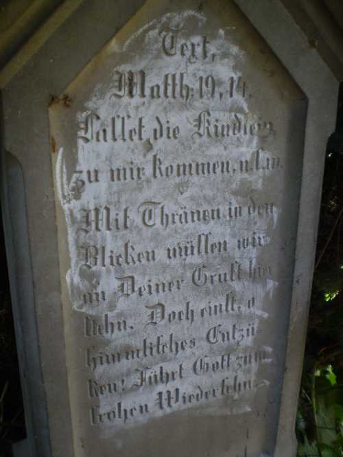verden_domfriedhof1956.jpg